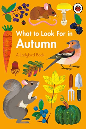Ladybird book cover with autumn illustrations: squirrel, bird, and vegetables.