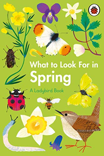 Ladybird book cover depicting spring flowers, insects, and a bird.