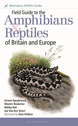 Book cover featuring a grass snake and text: "Field Guide to Amphibians & Reptiles".