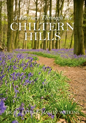 Book cover depicting a path through bluebells in a woodland setting.
