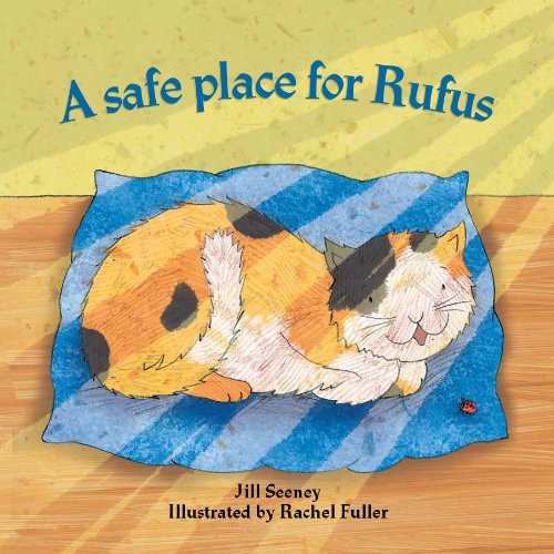 Book cover: orange and white cat lying on a blue pillow.