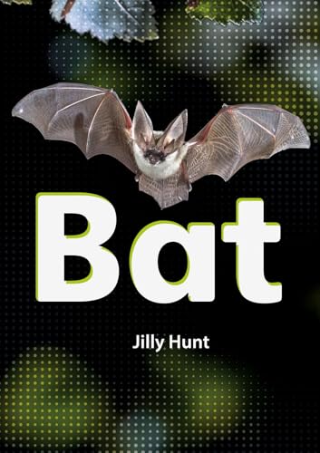 Book cover featuring a bat with wings spread, and large text "Bat".