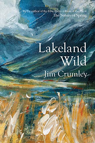 Book cover with abstract painting of landscape, title “Lakeland Wild”.