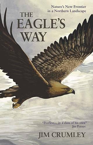 Book cover featuring a golden eagle in flight against a pale sky.