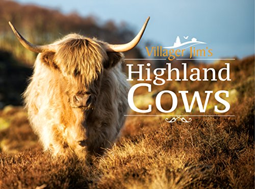 Highland cow with long horns in a field, book cover.