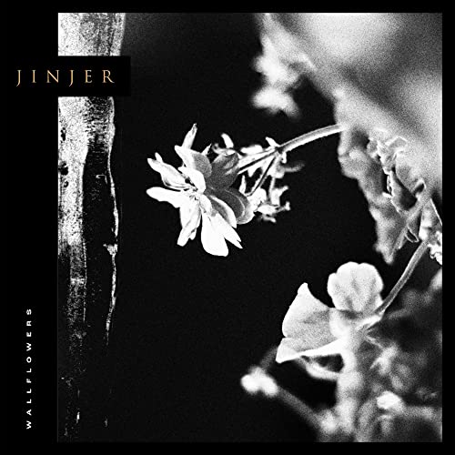 Black and white album cover with flowers and tree bark.