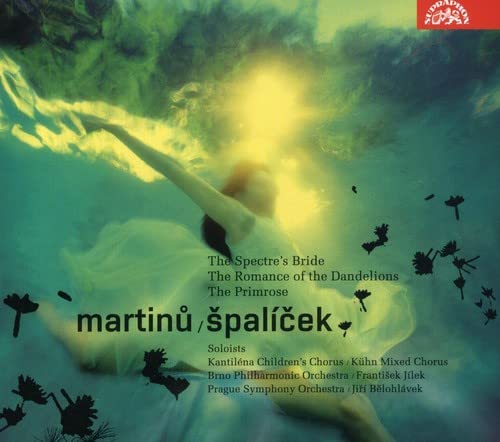 Abstract image of a person underwater with floral silhouettes and text overlay.