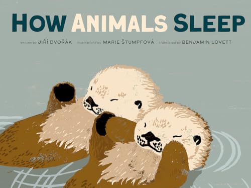 Book cover: "How Animals Sleep" featuring sleeping otters in water.
