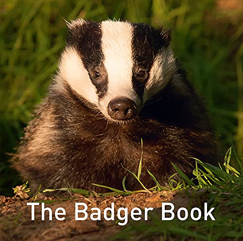 Close-up of a badger’s face with black and white stripes, book title below.