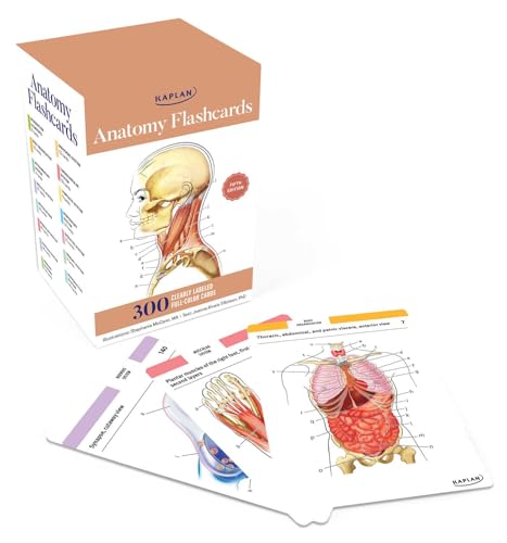 Box of anatomy flashcards with detailed anatomical illustrations of the human body.