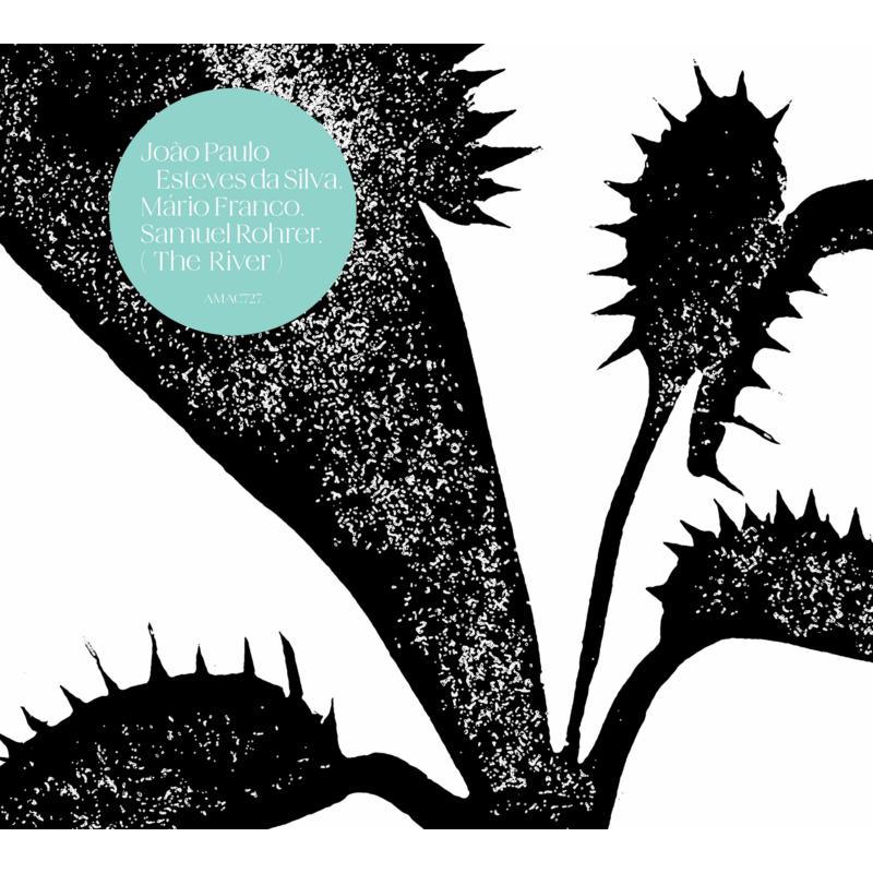 CD cover for "The River" by João Paulo Esteves Da Silva, featuring a thistle.