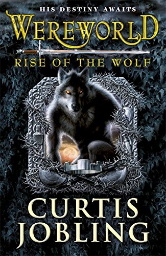 Book cover featuring a black wolf against a stone and thorn background.