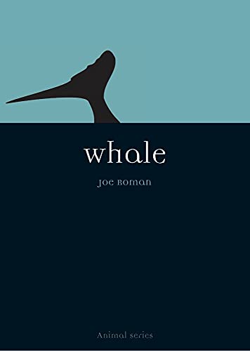 Book cover: dark whale tail silhouette against blue and navy background.