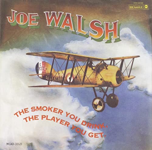 Album cover featuring a yellow biplane flying through clouds with Joe Walsh text above.