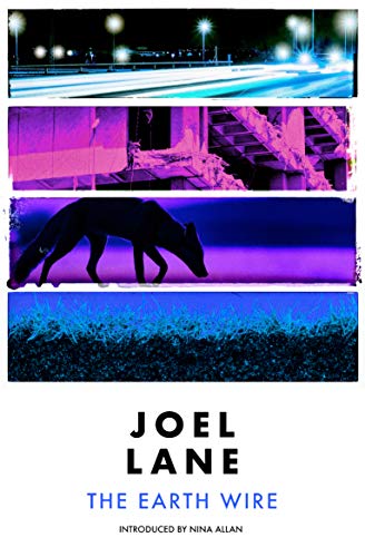 Book cover with stacked images of city lights, a fox, and blue foliage.