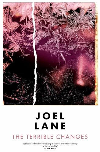 Book cover: fractured ice pattern with author name and title below.
