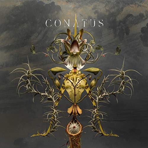 Album cover for Joep Beving’s “Conatus” featuring abstract floral artwork.