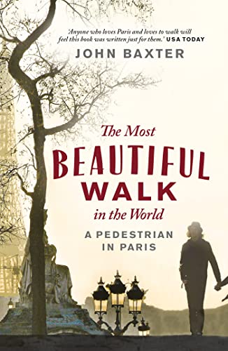 Book cover with a tree, street lamps, and a person walking away.