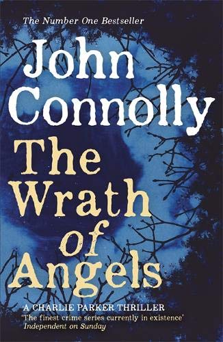 Book cover: dark blue, white text, bare tree branches, thriller genre.