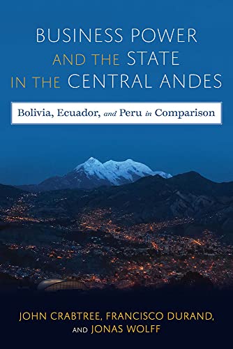Book cover with Andes Mountains and city lights, titled “Business Power and the State.”