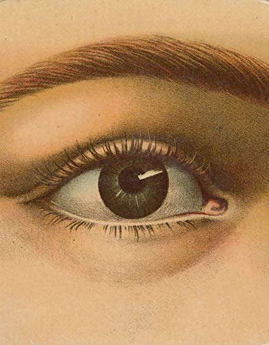 Close-up of a vintage-style illustration depicting a human eye.