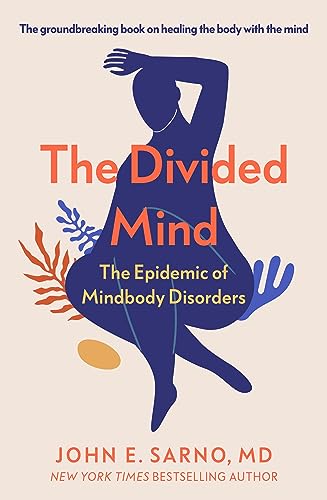 Book cover: "The Divided Mind" with a blue silhouette of a seated person.