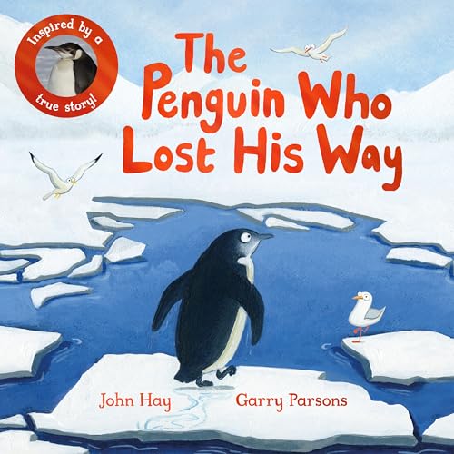 Lost penguin on an ice floe with seagulls, book cover illustration.