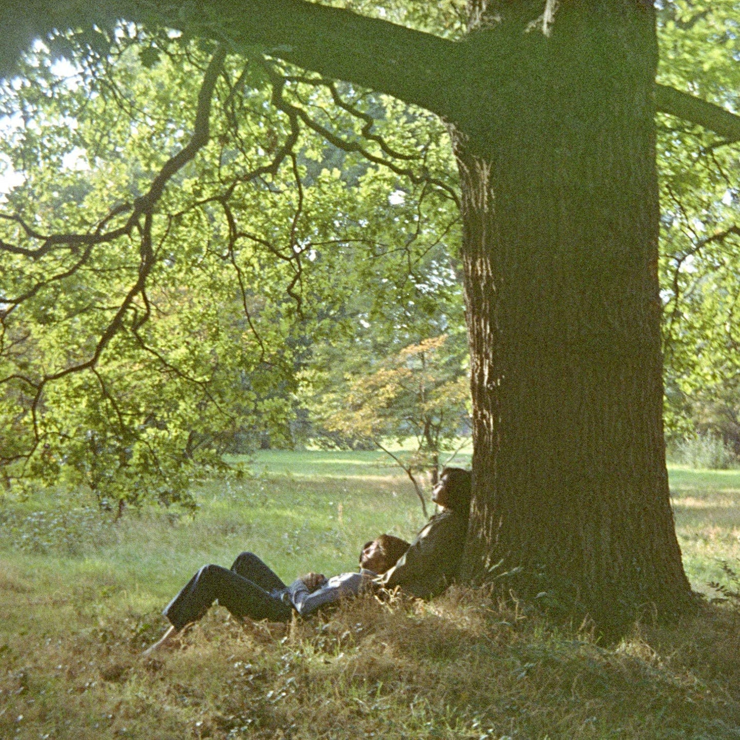 John Lennon Plastic Ono Band CD with tree image and "WAR IS OVER!" text.