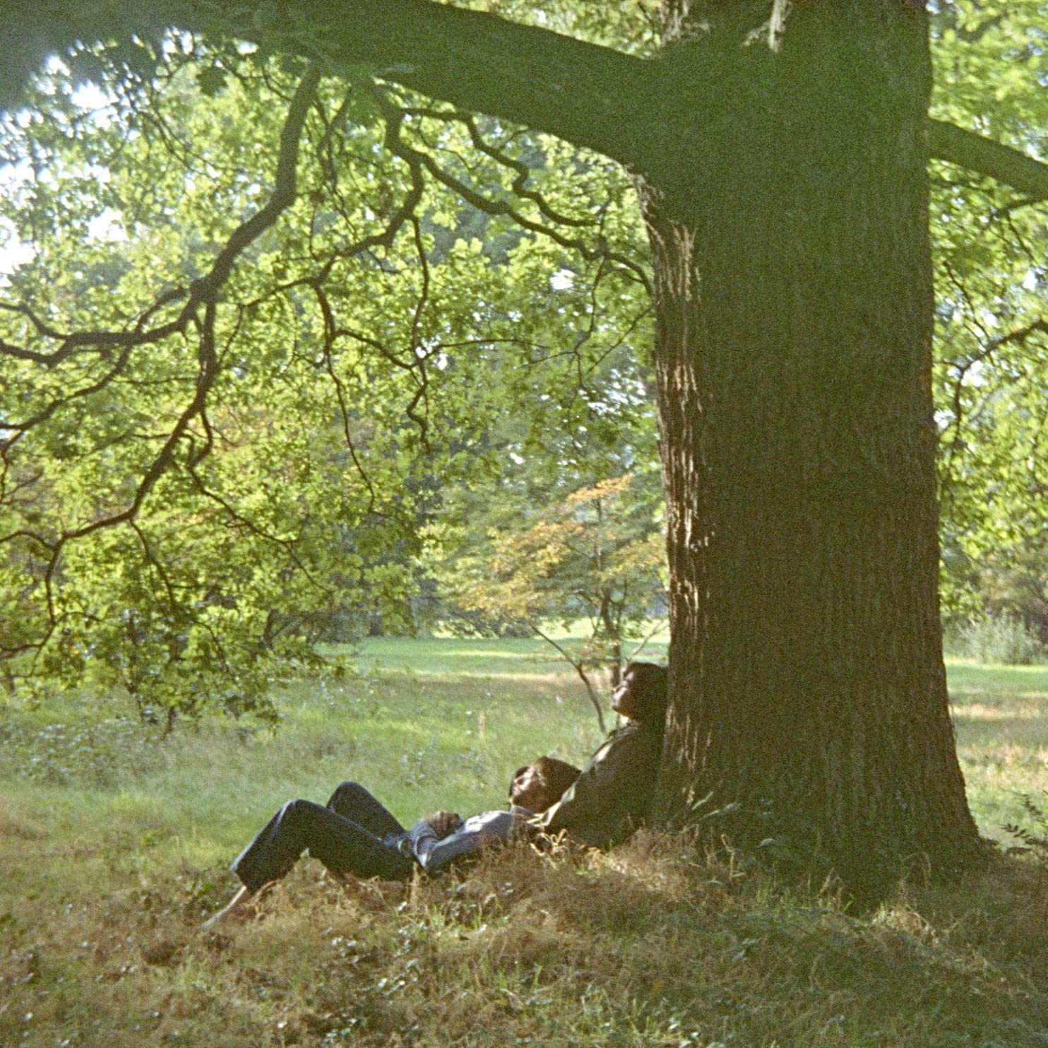 John Lennon Plastic Ono Band CD with tree image and "WAR IS OVER!" text.