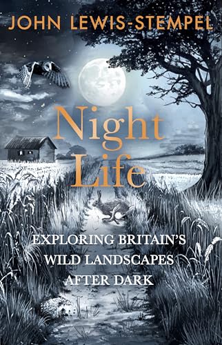 Book cover: night landscape with owl, rabbit, and building under moonlight.