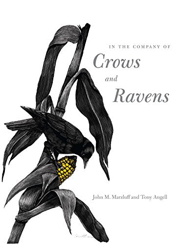 A black crow perched on a corn stalk on a white book cover.