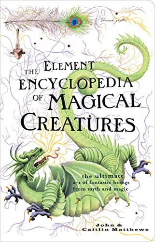 Book cover featuring a green dragon and illustrations of magical items.