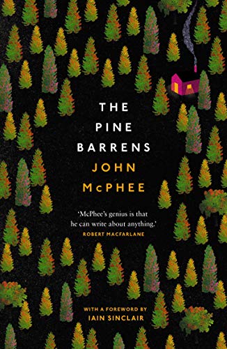 Book cover: dark forest with a small, lit cabin and title text.