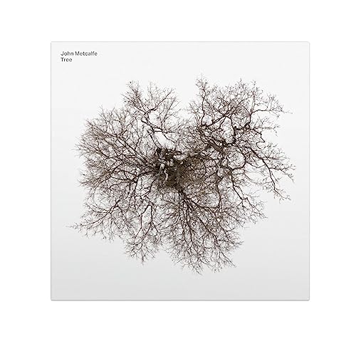 CD cover for John Metcalfe’s “Tree” featuring a stark, overhead tree image.