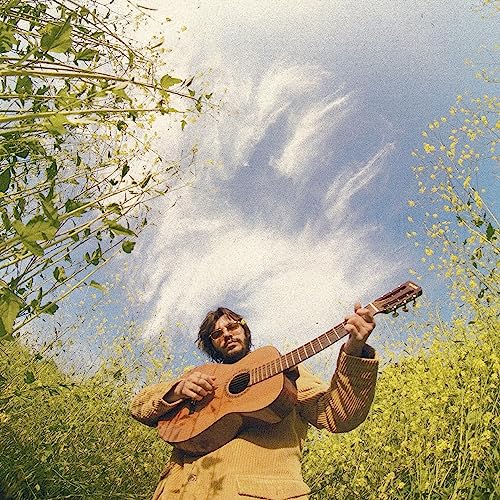 Man with guitar under a cloudy sky, surrounded by greenery.