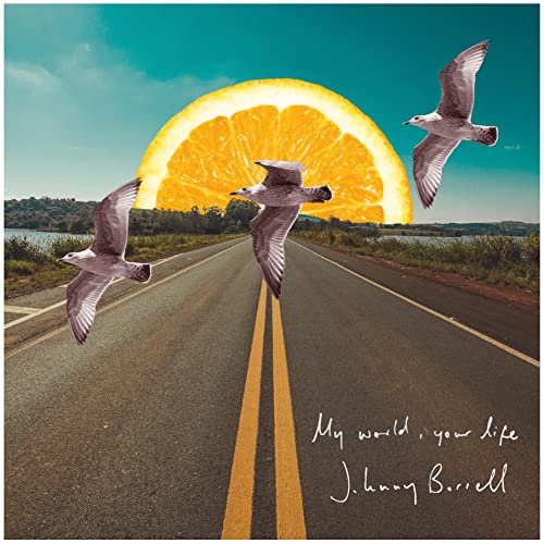 Three seagulls fly over a road with a giant orange slice in the background.