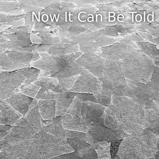CD cover for Johnny Hunter’s “Now It Can Be Told” with cracked texture.