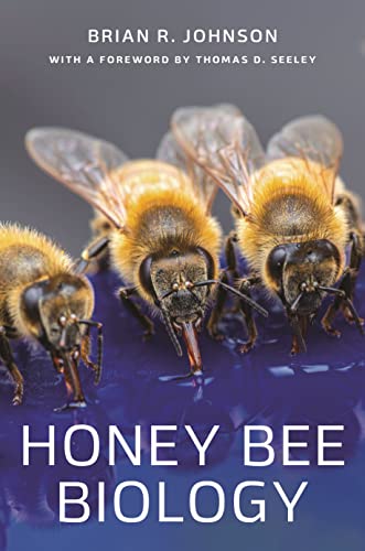 Book cover featuring close-up of honey bees on honeycomb.
