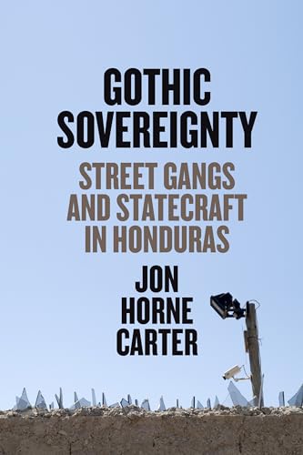 Book cover: “Gothic Sovereignty” with a security camera and barbed wire.