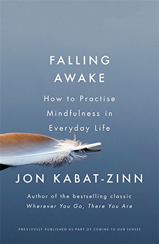 Book cover: "Falling Awake" by Jon Kabat-Zinn, with a feather image.