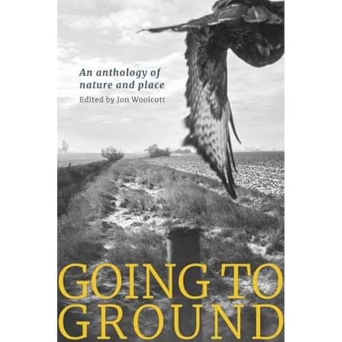 Book cover: owl in flight over a rural landscape, text “Going to Ground”.