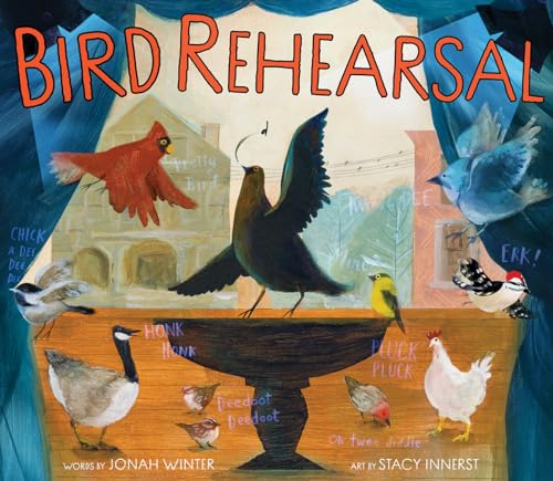 Colorful illustration of various birds gathered around a birdbath, rehearsing.