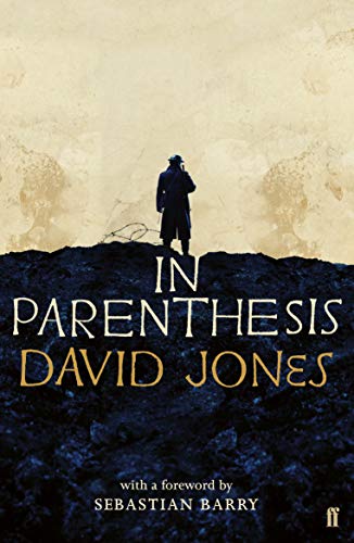 Book cover showing a soldier standing on a dark mound against a pale background.