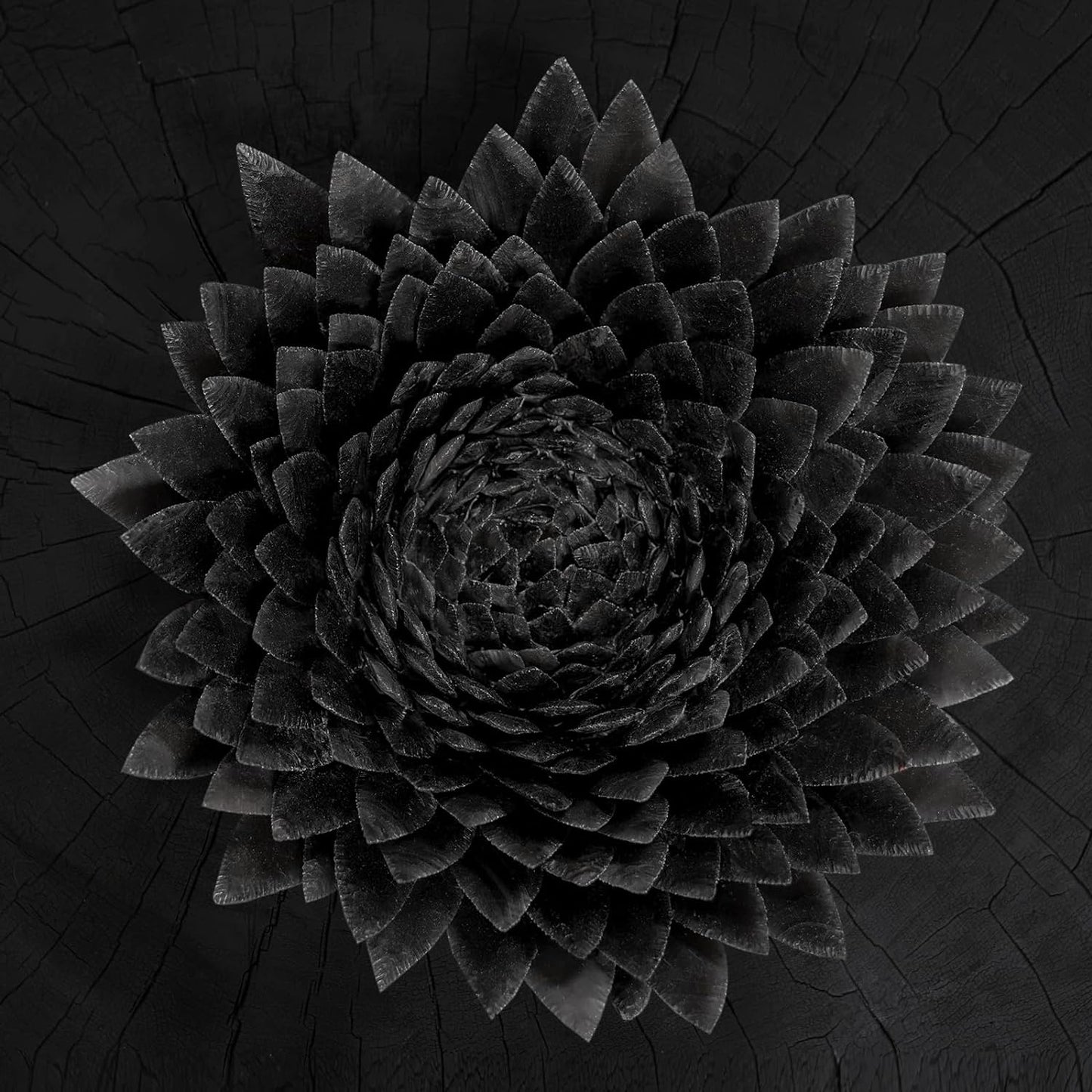 A black, layered, flower-like sculpture centered on a dark, cracked wooden surface.