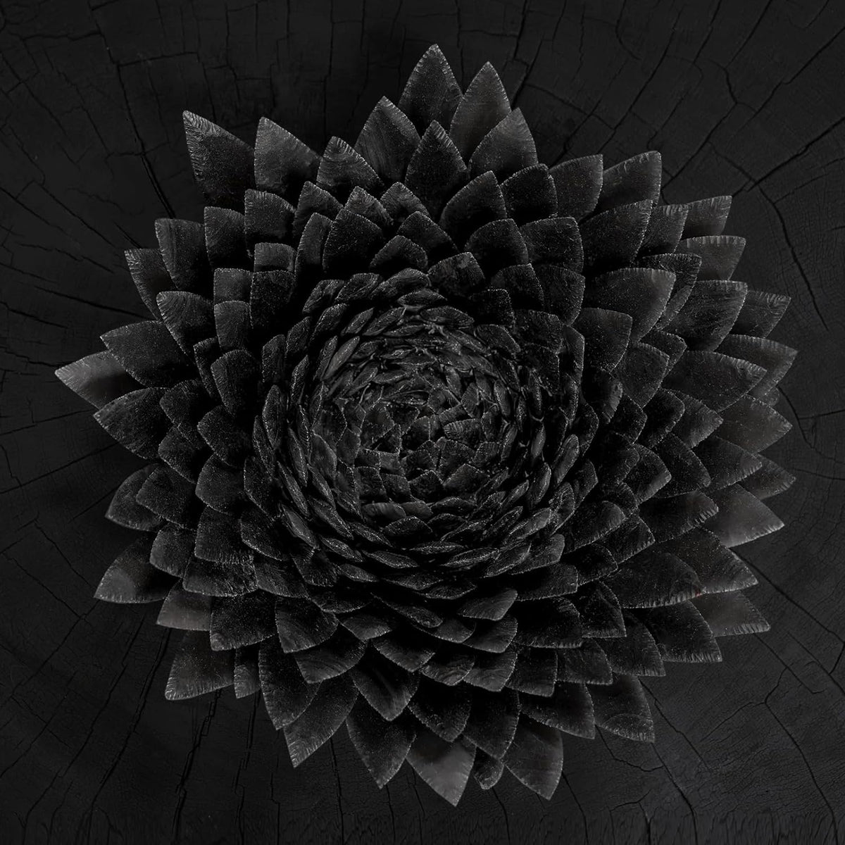 A black, layered, flower-like sculpture centered on a dark, cracked wooden surface.