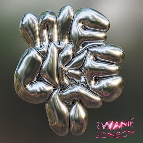 Silver, abstract organic form with "ZWANIE JONSON" text at bottom.
