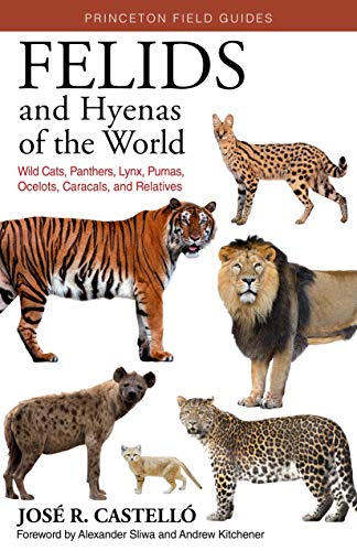 Book cover featuring illustrations of various wild cats and a hyena.