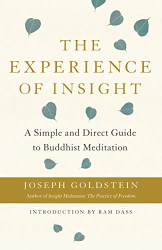 Book cover: “The Experience of Insight” with scattered teal leaf illustrations.