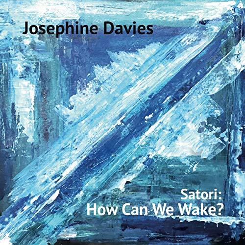 Vinyl album cover for Josephine Davies’ “Satori: How Can We Wake?” with blue abstract art.