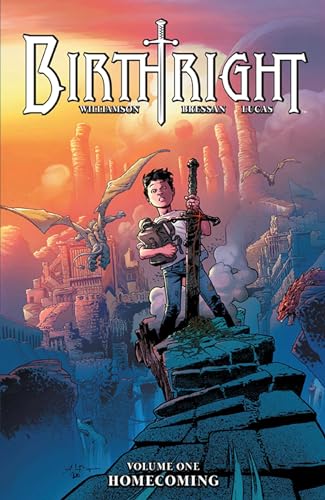 Boy with sword stands on cliff overlooking fantasy landscape with dragons.